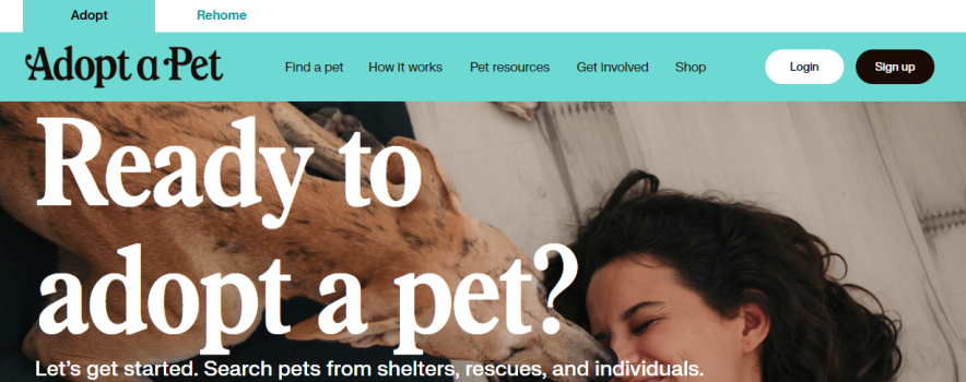 adopt a pet blog