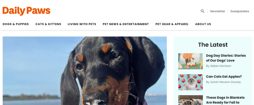 daily paws blog