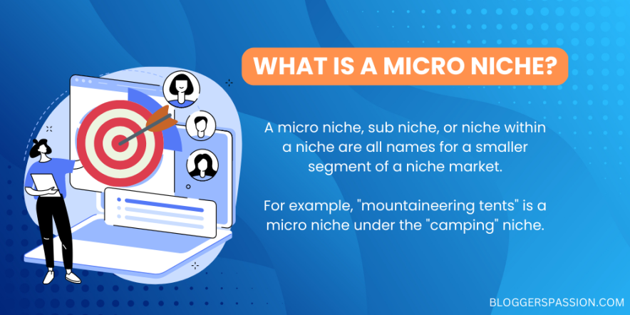 micro niche meaning