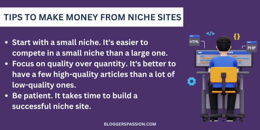 niche site monetization