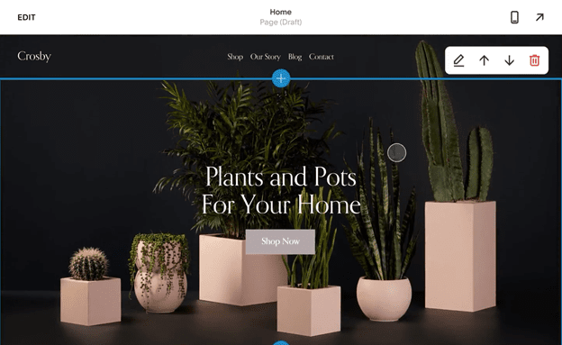 squarespace website builder for small businesses